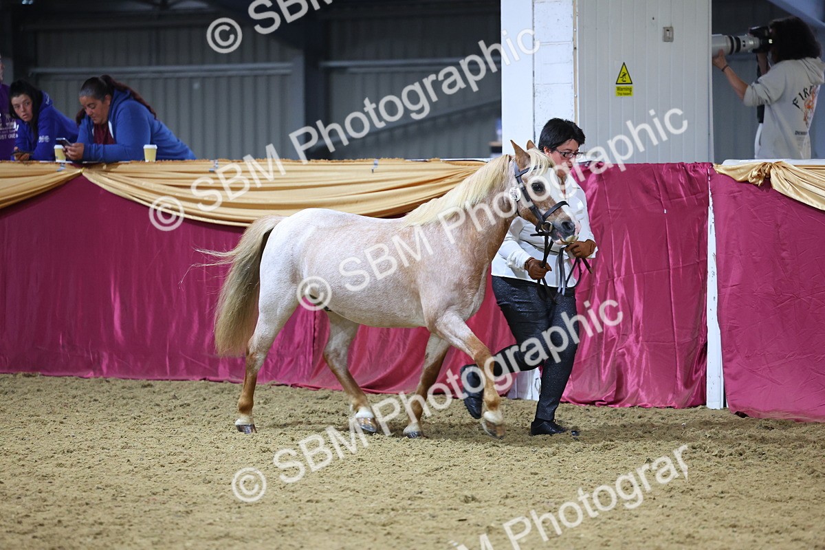 SBM_20957 - Class 902 - Supreme Final IH Veteran