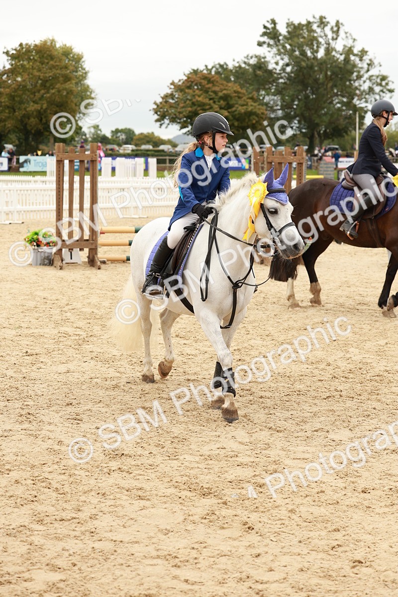 SBM_63910 - J12 - Junior Pony 55cm Championship