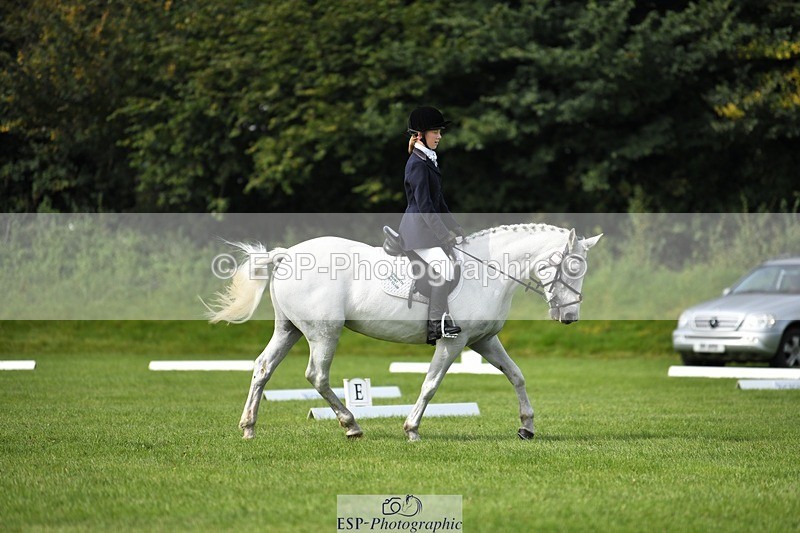 230826-104633-15599 - Sections C & D 10 to End