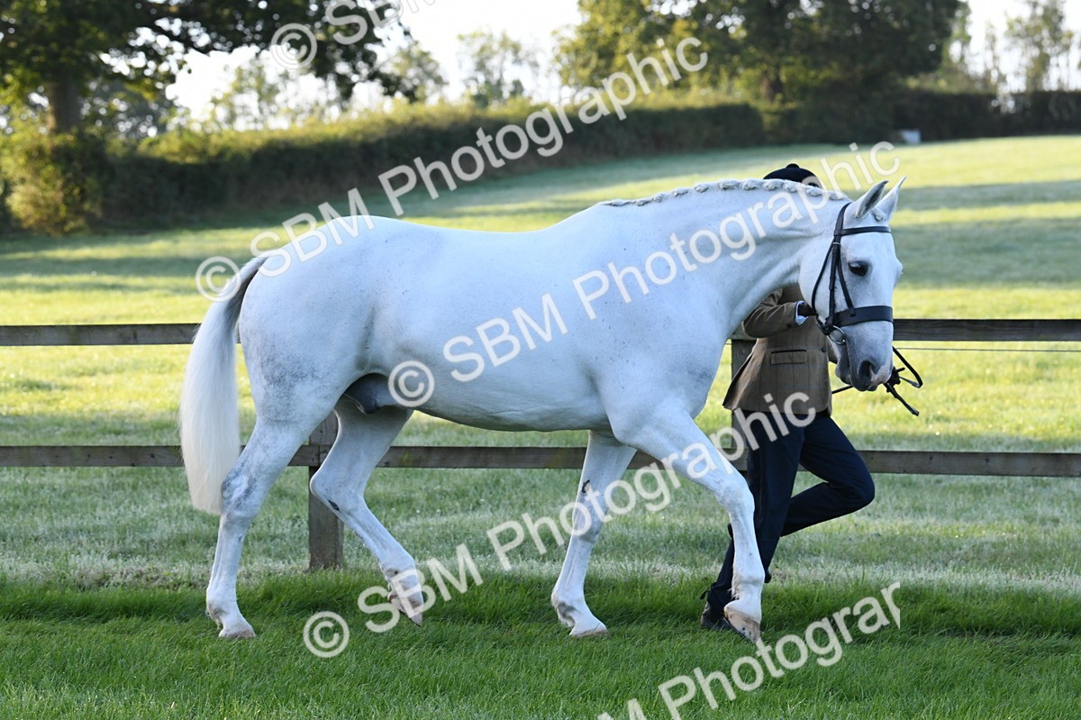 SBM_32615 - S15 - Condition & Turnout In Hand