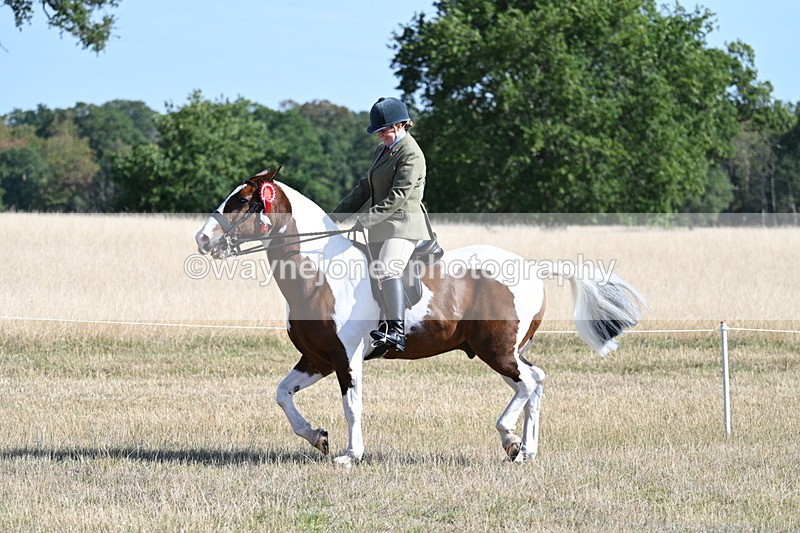 WJ7_3227 - Class 8 Ridden Tack & Turnout