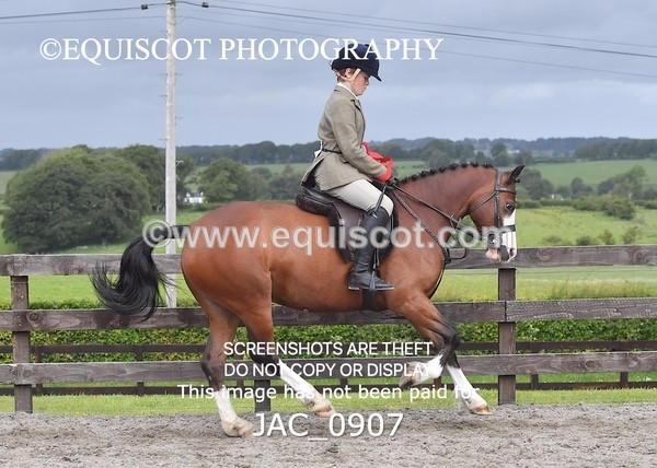 JAC_0907 - CHAMPIONSHIPS AND SUPREME
