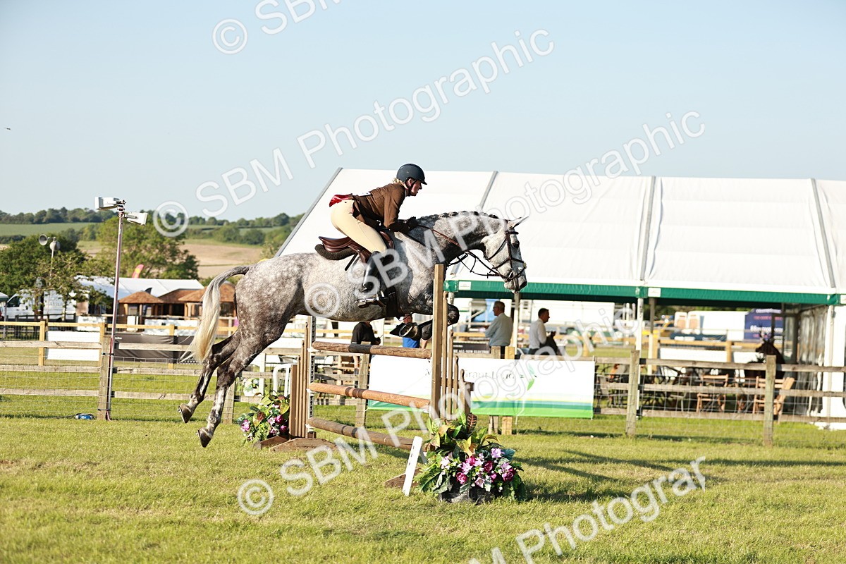 SBM_20356 - Class 117-119 - Sport Horse Working Hunter