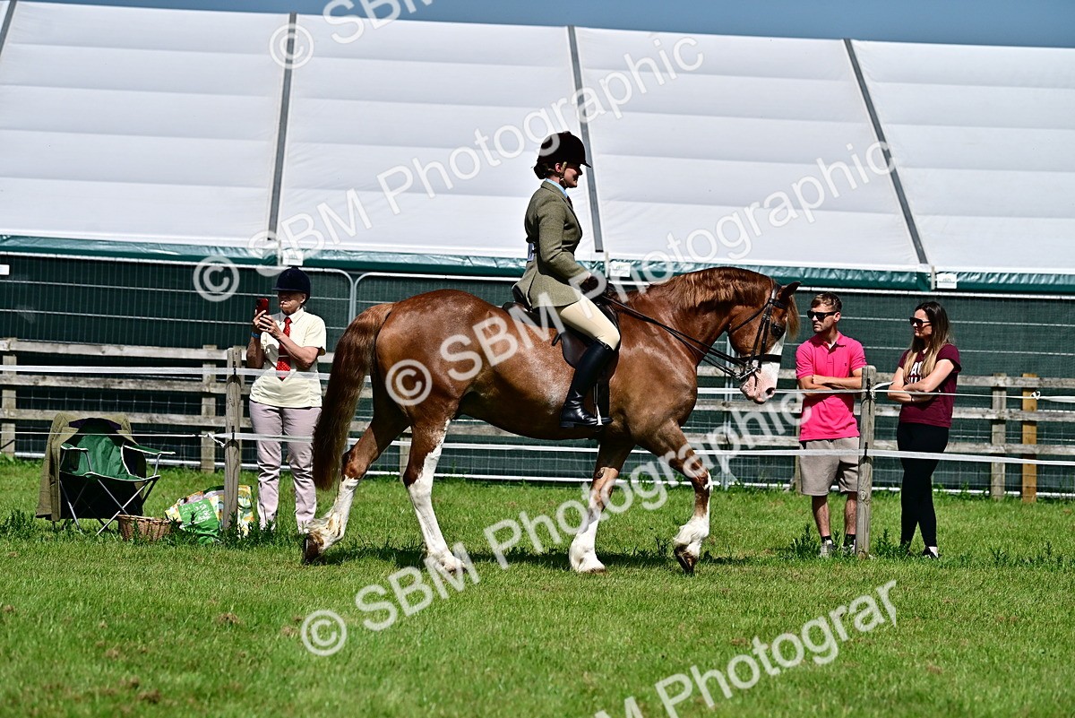 SBM_03707