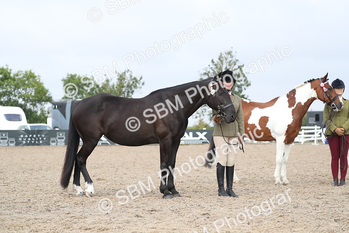 SBM_23161 - Class 605 - 2025 Area - IH Veteran