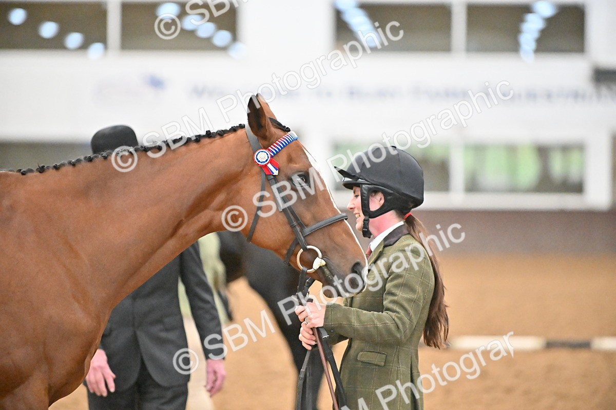 SBM_000127 - Class 6 - BSHA In Hand Racehorse to Show Horse