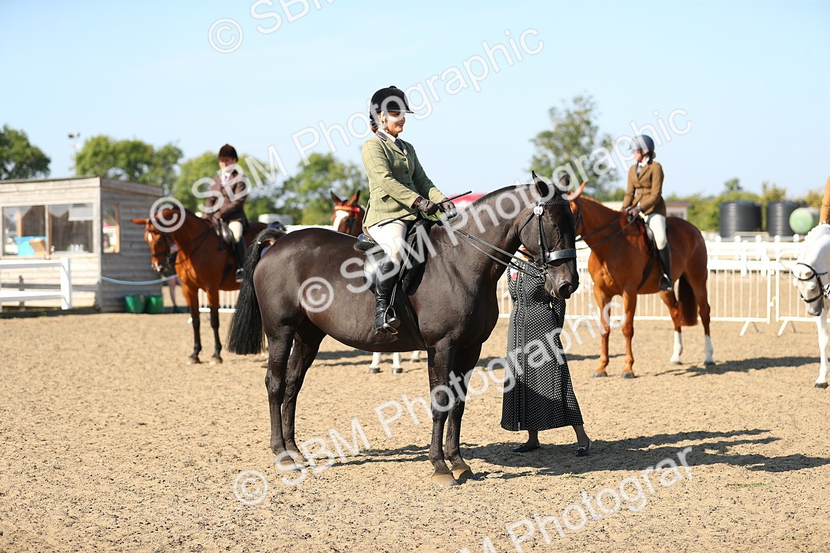SBM_02259 - Class 43 Ridden Competition Horse/Pony