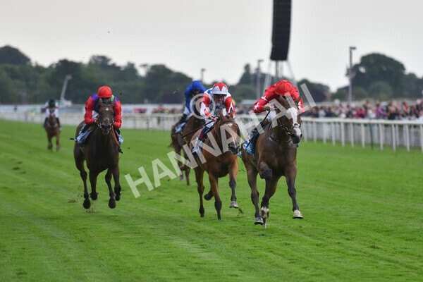 yr22072022r6-18 - Race 6 7.50pm Gallop Racing Stakes