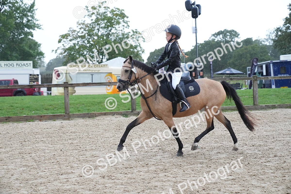 SBM_00156 - J53 - Clear Round 40cm
