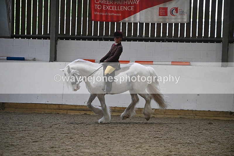 WJ7_4183 - Class 17 Ridden Cob