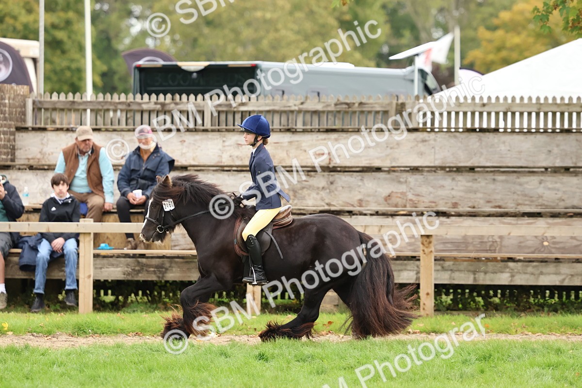 SBM_67550 - S60 - Mini Show Cob Ridden