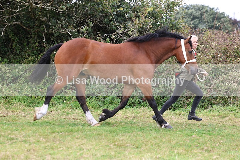 3E7A4377 - Class 15: Three Year Olds