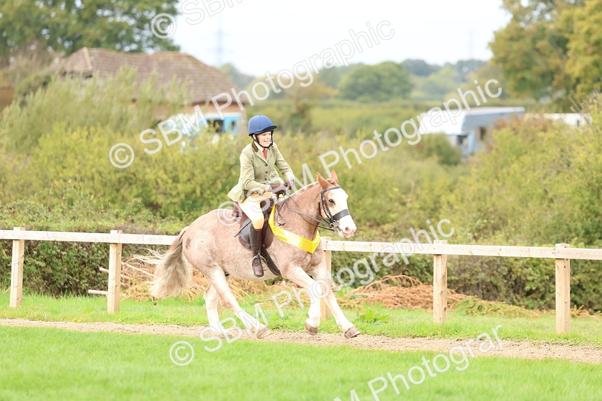 SBM_67567 - S60 - Mini Show Cob Ridden