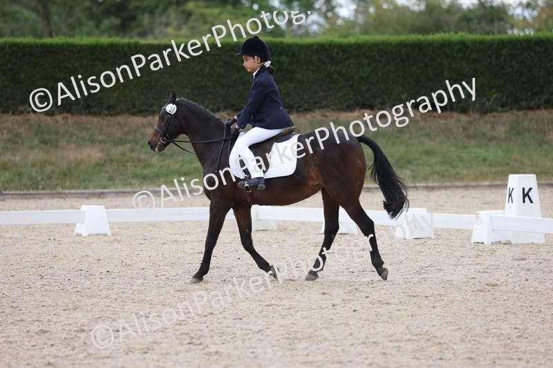 20250705-0045 - Class 1 - Intro 1