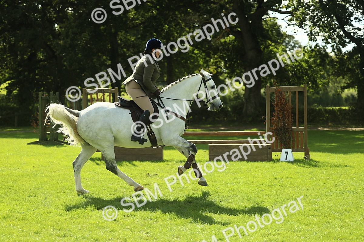 SBM_48065 - S32 - Novice & Newcomers Working Hunter