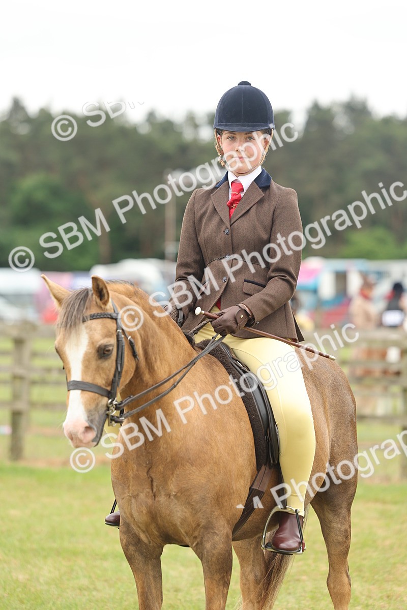 SBM_07130 - Class 76-77 - Ridden M&M Welsh Ponies