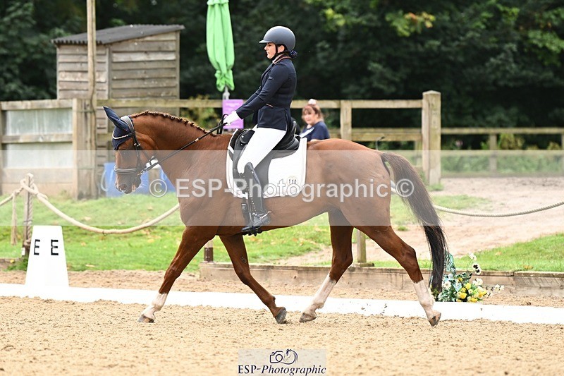 240811-101832-04985 - 110-Helen.Kitto-Da.Vinci.IV