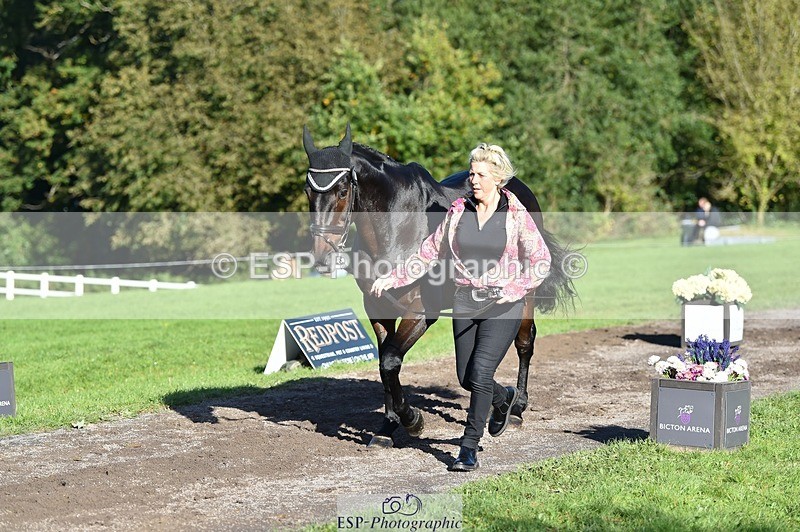 231022-104654-22736 - 464-IMPERIAL.TANGLE-Deborah.Burrell-TrotUp+SJ