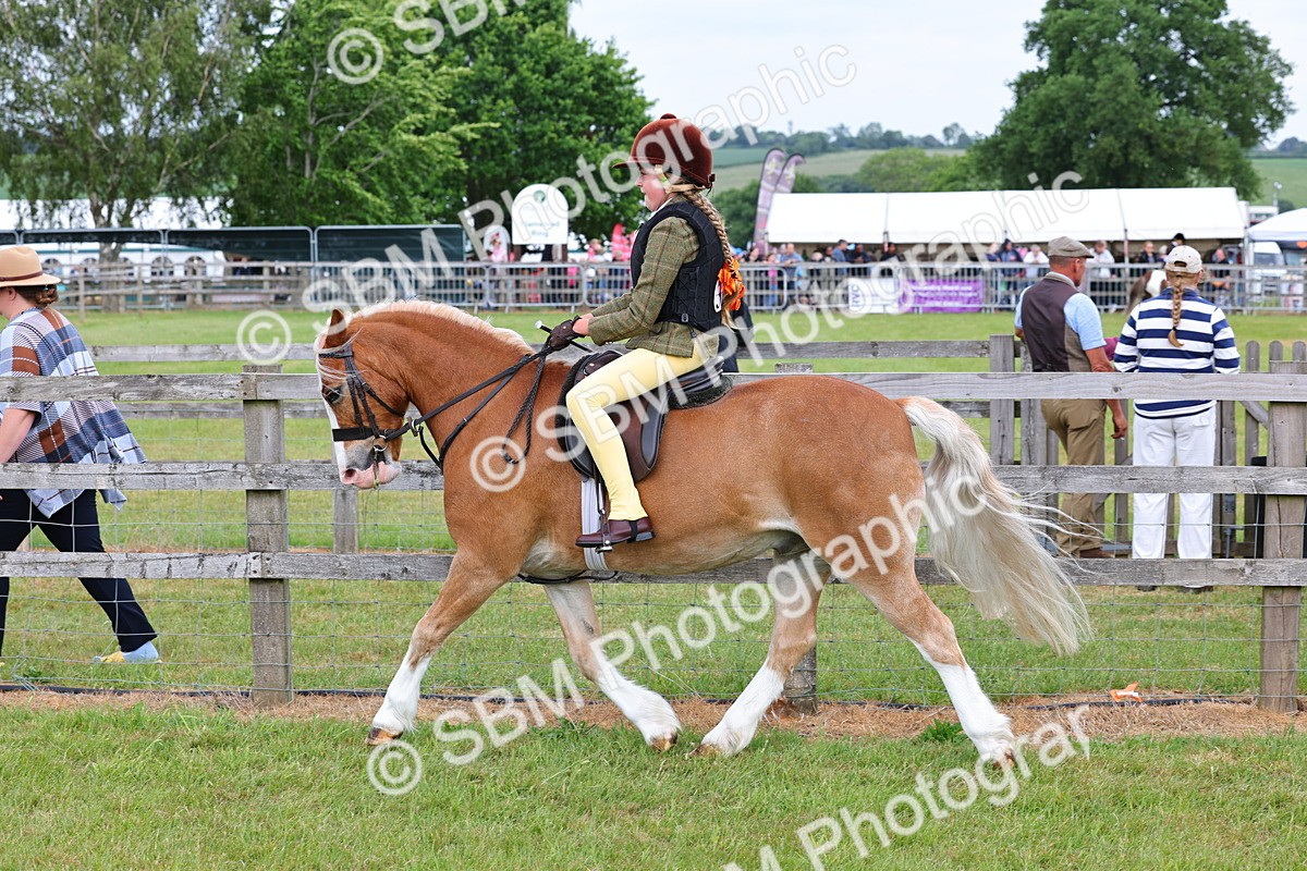 SBM_08577 - Class 42-43 - LIHS BSPS Heritage Working Sports Pony