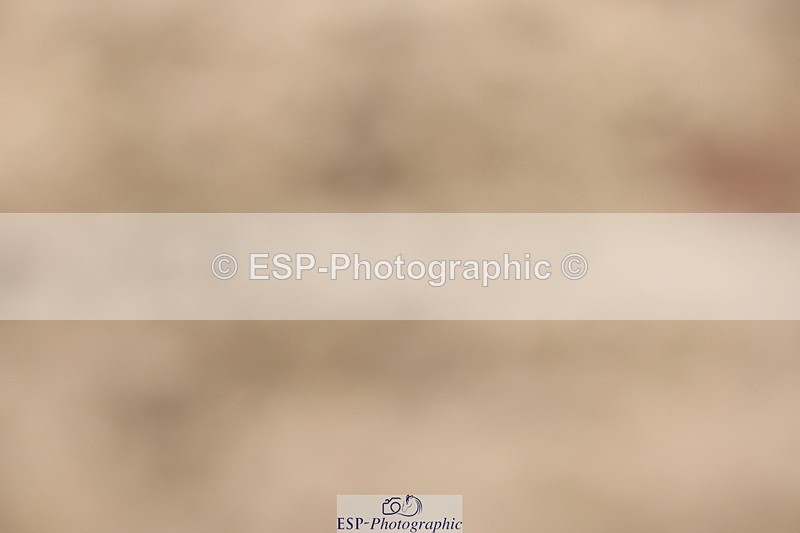 240622A-103739-09351 - Cls 27 BD Novice 37A