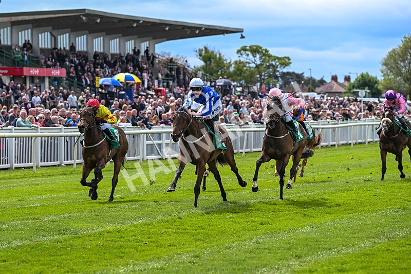 160526-Race 2-Kodi Bear Light-9295 - Race 2 2.23pm Marion Gibson Brown Memorial - Irish EBF Restricted Maiden Fillies' Stakes (Div II)
