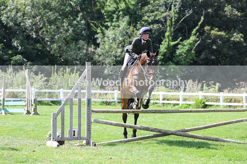 3E7A8901 - Class 6: Open Working Horse