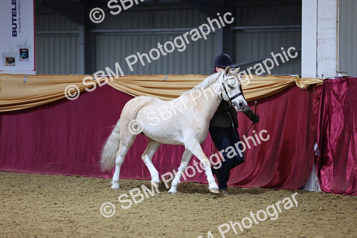 SBM_19384 - Class 901 - Supreme Final - IH Diamond