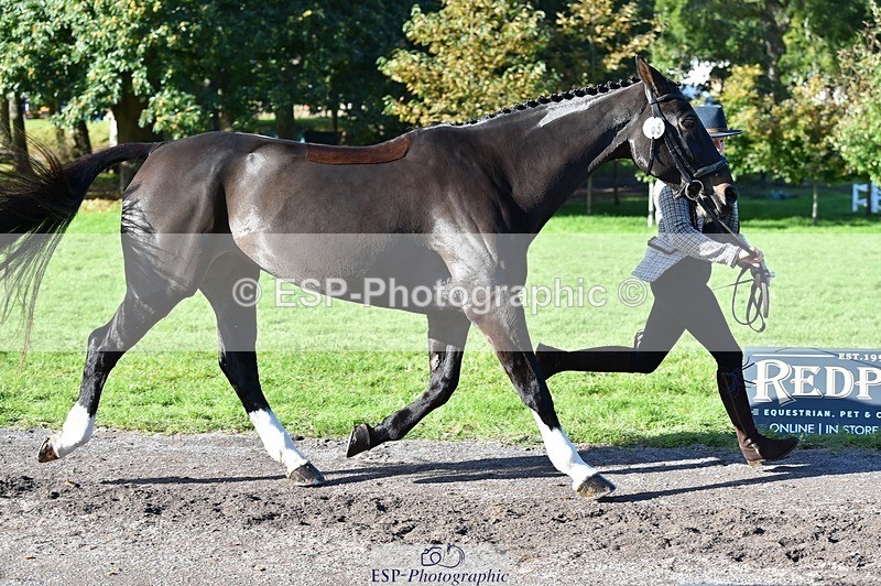 231022-111652-23861 - 565-LITTLE.M.II-Charlotte.Radley-TrotUp+SJ