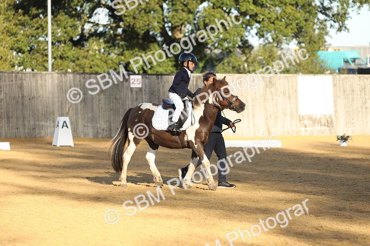 SBM_33695 - D26 - Starers - Lead Rein