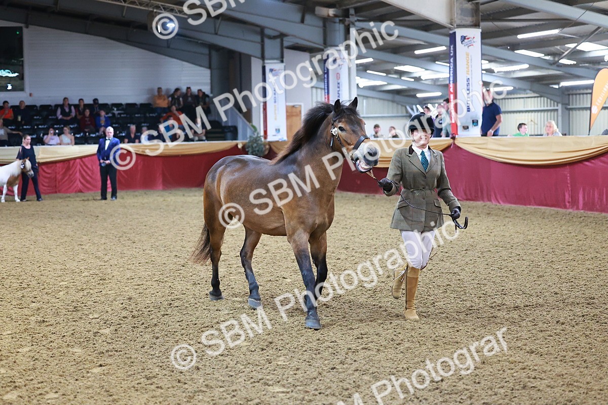 SBM_14721 - Class C - Novelty champ
