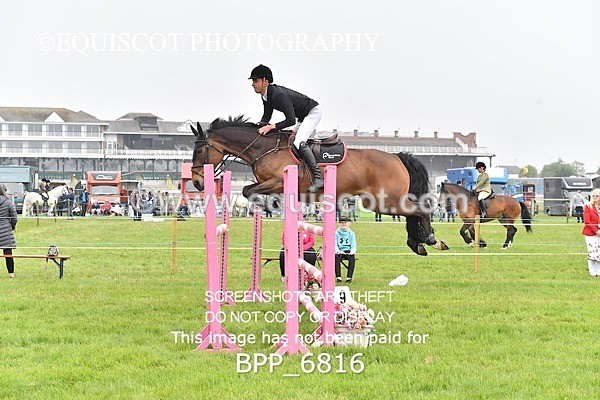 BPP_6816 - CLASS 2 RHS Classic Champ Qual (1.20m)