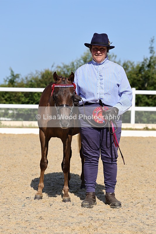 1X9A0706 - Class 3: Youngstock 1, 2, 3 year old not to exceed 153cm