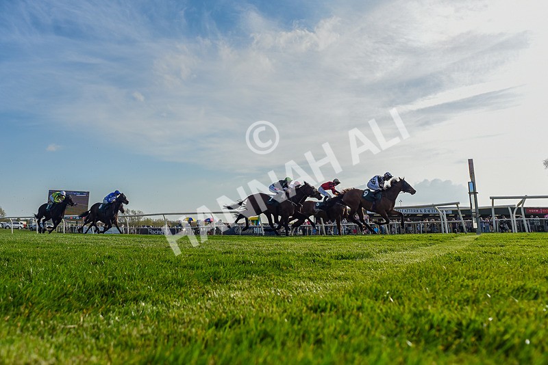 080426-Race 7-Sir Garfield-0139 - Race 7