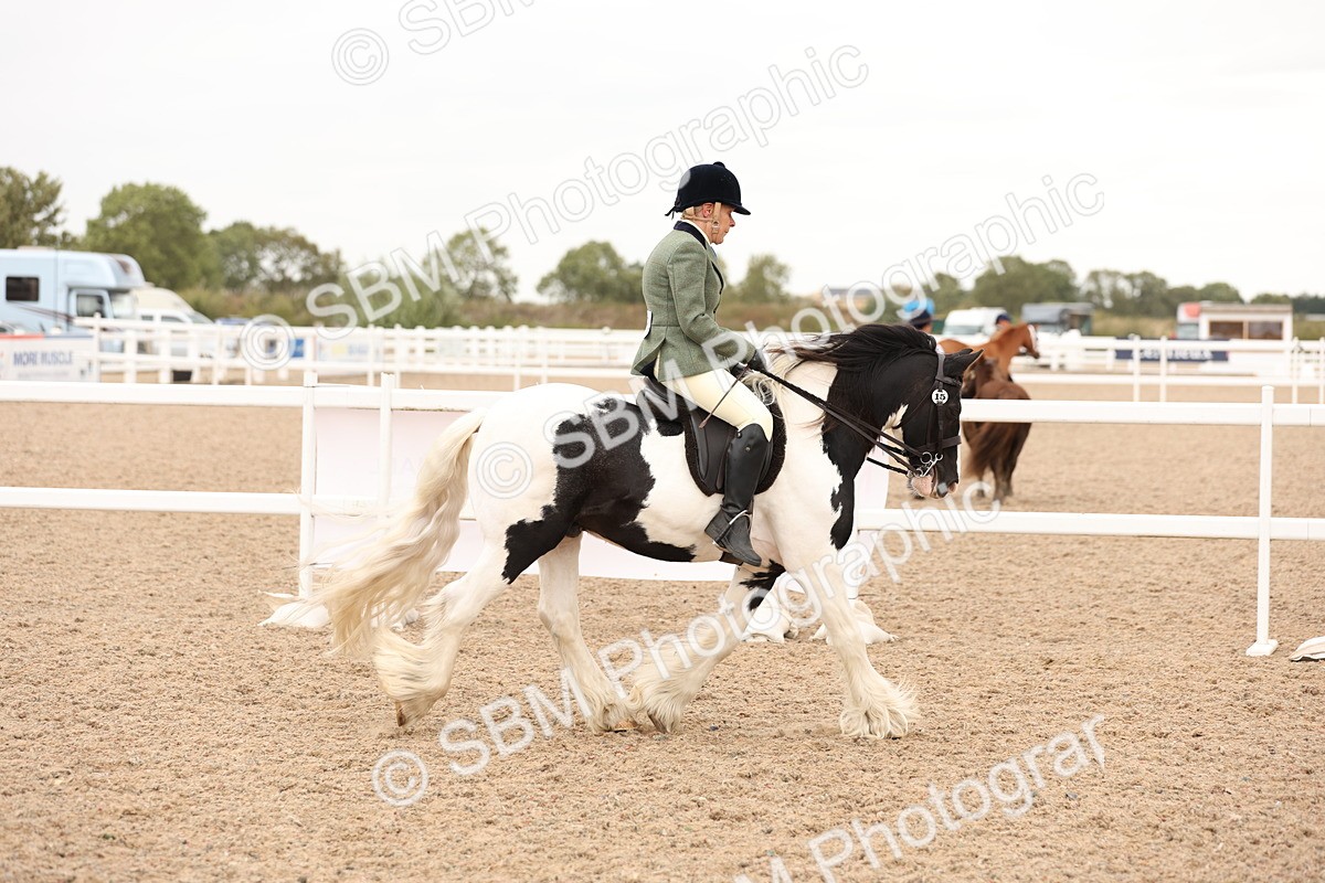 SBM_19647 - Class 216 - Ridden Traditional - Native Cob