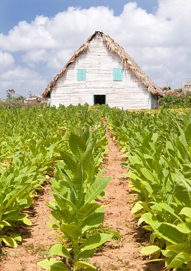  - Cuba