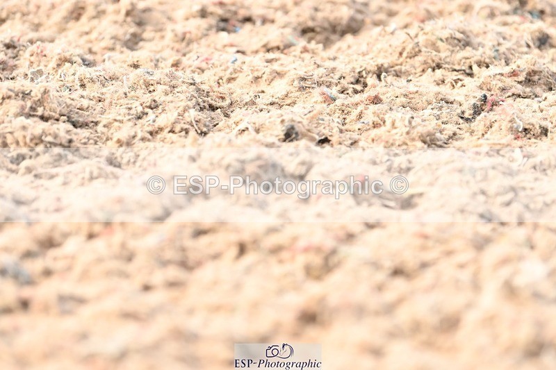 250620-171842-04949 - BD Cls 14 - Adv Medium 6