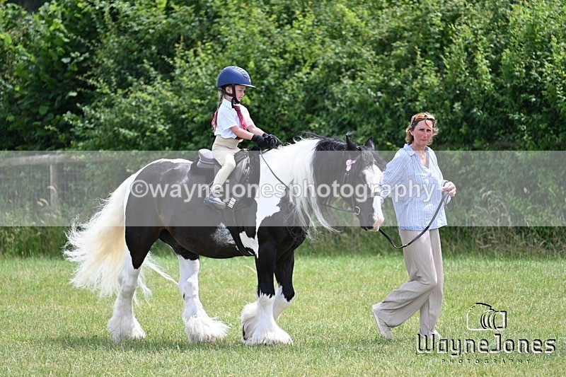 WJ7_8272 - Nancy And Churchill SORC summer show 21-06-26
