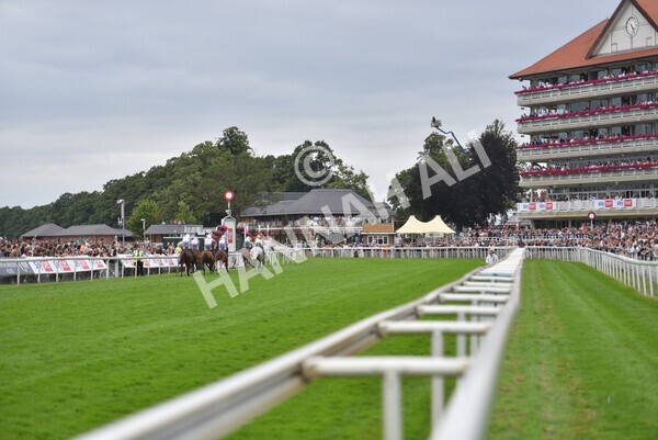 yr24072021r5-45 - Race 5 4.25pm Sky Bet Best Odds Guaranteed Stakes