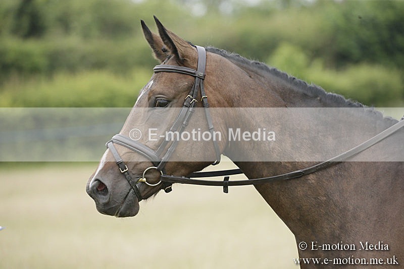 B230619-0023 - Bourne Valley Riding Club Summer Show 23/06/19
