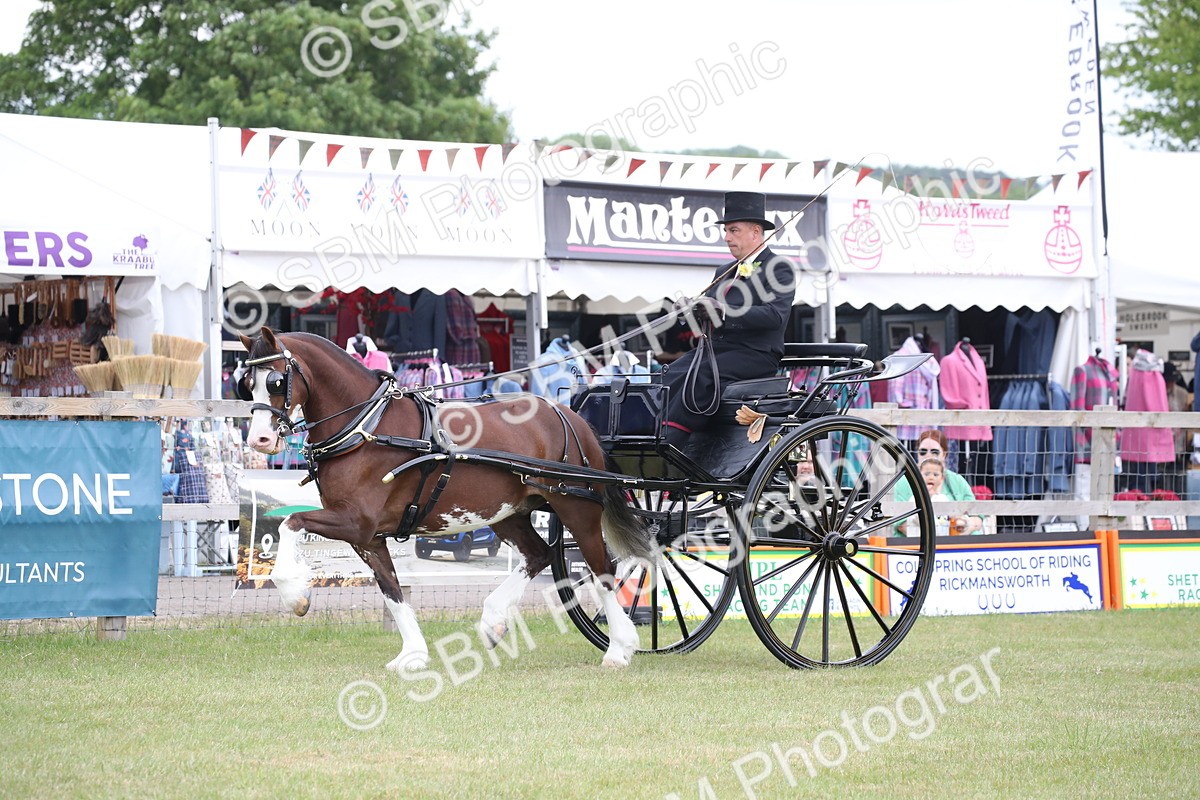 SBM_05854 - Class 12-15 - HOYS Private Driving