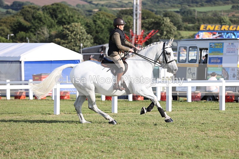 JPP_3352 - Class 22: Working Hunter 90cm