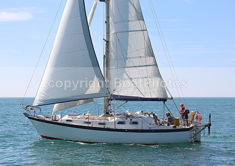 140729 SCOT FREE GBR1443T WT7A1844 - 140729 SCOT FREE GBR1443T