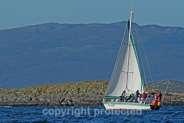 Palludine - Ushuaia (Argentina) - The Americas
