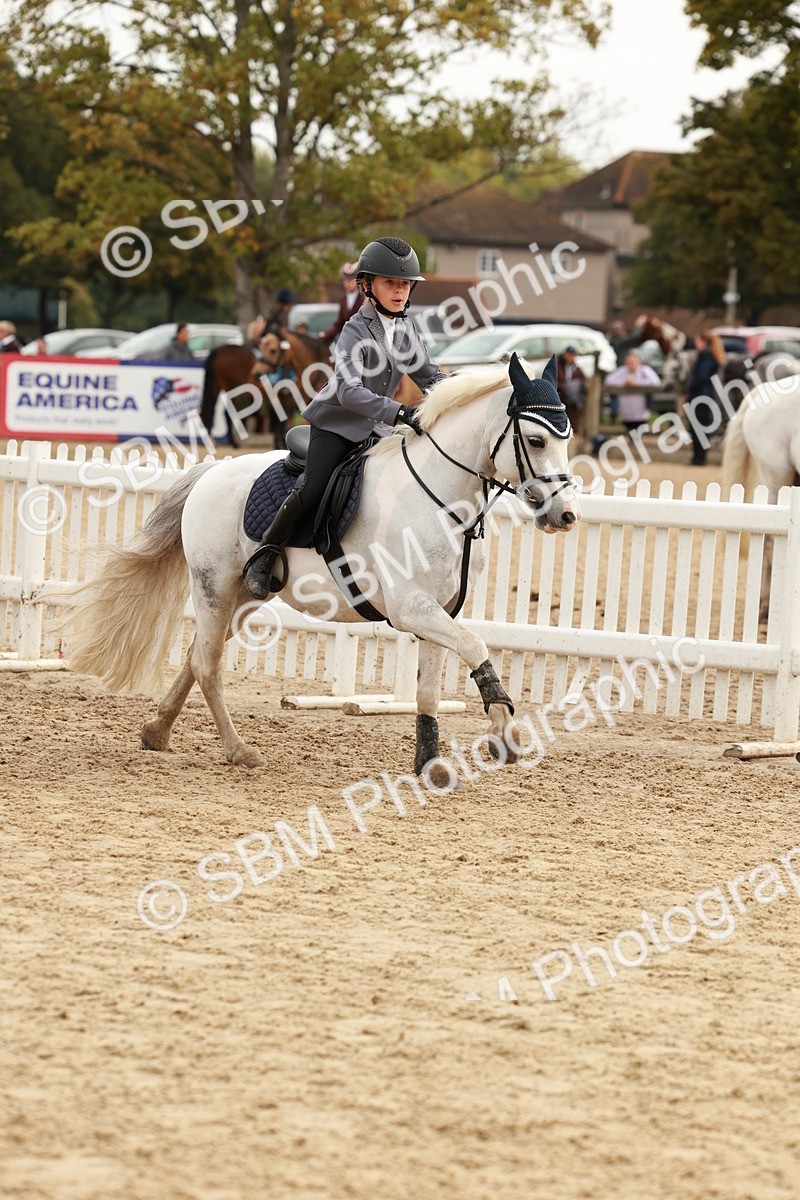 SBM_57756 - J11 - Junior Pony 50cm Championship
