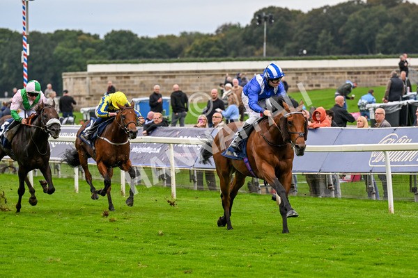 101025-Race 3-Mukhtalif-0218 - Race 3 William Hill Each Way Extra Handicap at York