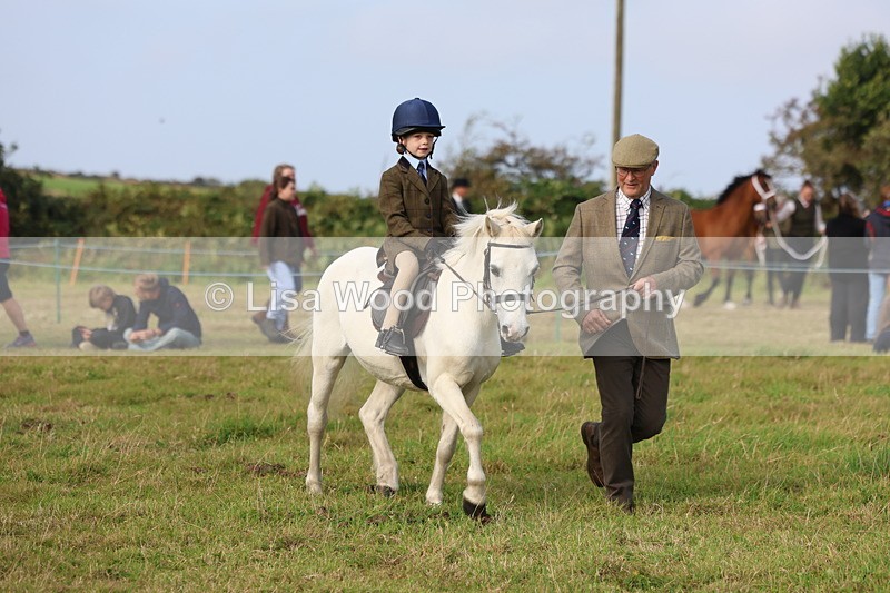 3E7A3703 - Class 2: Lead rein