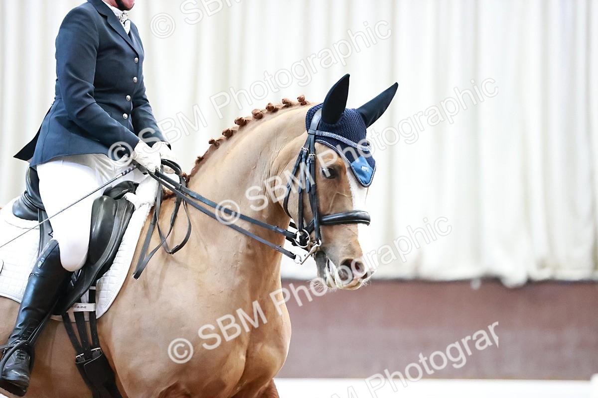 SBM_000480 - Class 7 - Medium 3