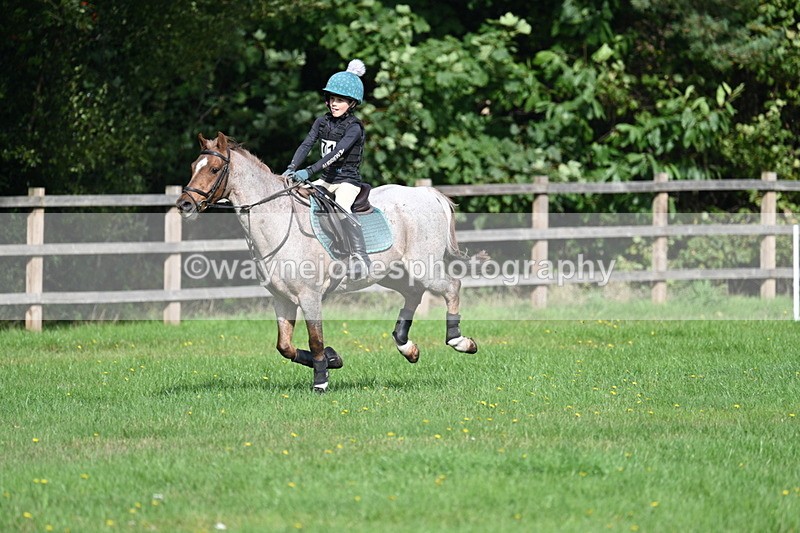 WJ7_5016 - 60cm Time 11:11 to 11:19