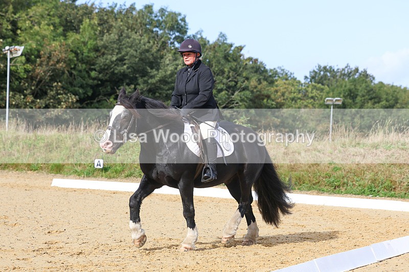 3E7A2310 - Class 1: Intro 4 2024 section A