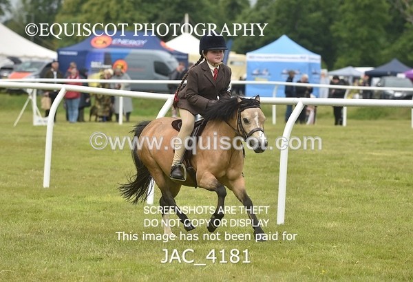 JAC_4181 - 30CM WORKING HUNTER